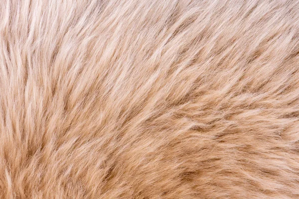 Fur Texture Top View Brown Fur Background Fur Pattern Texture — Stock Photo, Image