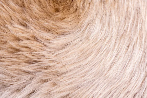 Fur Texture Top View Brown Fur Background Fur Pattern Texture — Stock Photo, Image