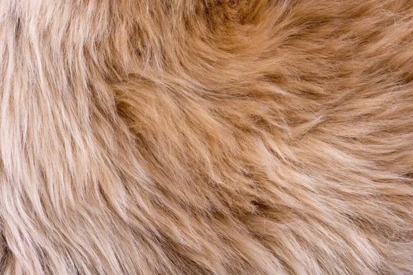 Fur Textur Ovanifrån Brun Päls Bakgrund Pälsmönster Konsistens Brun Shaggy — Stockfoto