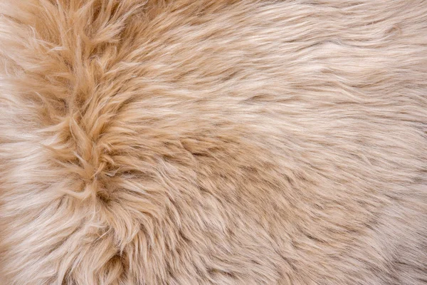 Fur Texture Top View Brown Fur Background Fur Pattern Texture — Stock Photo, Image