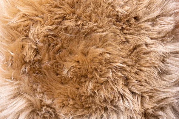 Fur Texture Top View Brown Fur Background Fur Pattern Texture — Stock Photo, Image