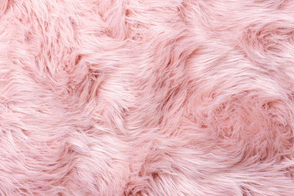 Pink fur texture top view. Pink sheepskin background. Fur pattern. Texture of pink shaggy fur. Wool texture. Sheep fur close u