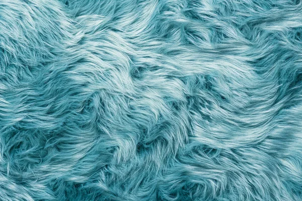 Fur texture top view. Turquoise fur background. Fur pattern. Texture of turquoise shaggy fur. Wool texture. Flaffy sheepskin fur close u