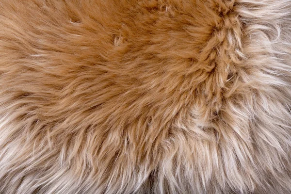 毛皮のテクスチャトップビュー 褐色の毛皮の背景 毛皮のパターン 茶色いシャギーファーの質感 ウールの質感 ふわふわの羊皮の毛皮の近くU — ストック写真