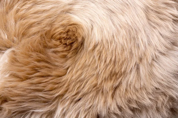 毛皮のテクスチャトップビュー 褐色の毛皮の背景 毛皮のパターン 茶色いシャギーファーの質感 ウールの質感 ふわふわの羊皮の毛皮の近くU — ストック写真