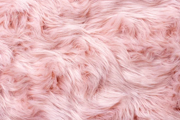 Pink fur texture top view. Pink sheepskin background. Fur pattern. Texture of pink shaggy fur. Wool texture. Sheep fur close u