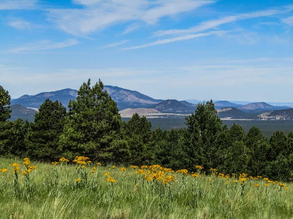 Beautiful Landscape Humphrey Peak — 图库照片