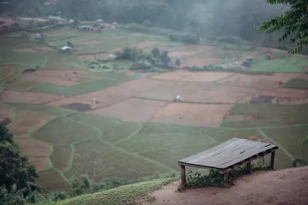 Ландшафт Рисового Поля Утренним Туманом Сельской Местности Сапуне Провинции Нан — стоковое фото