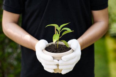 Erkek el ele tutuşma ağacı, orman koruma kavramı..