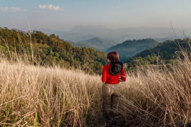 Kırmızı uzun kollu beyaz şapkalı bir kadın Hadubi, Chiang Mai, Tayland 'daki altın kuru otlaklarda yürüyor..