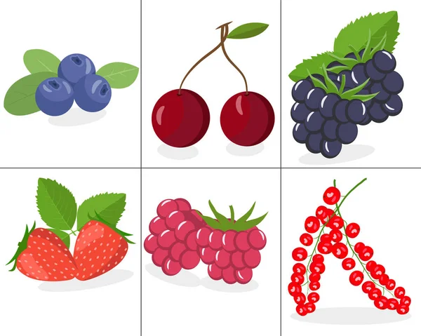 Berries Set Vector Ilustração Morango Amora Mirtilo Cereja Framboesa Groselha —  Vetores de Stock