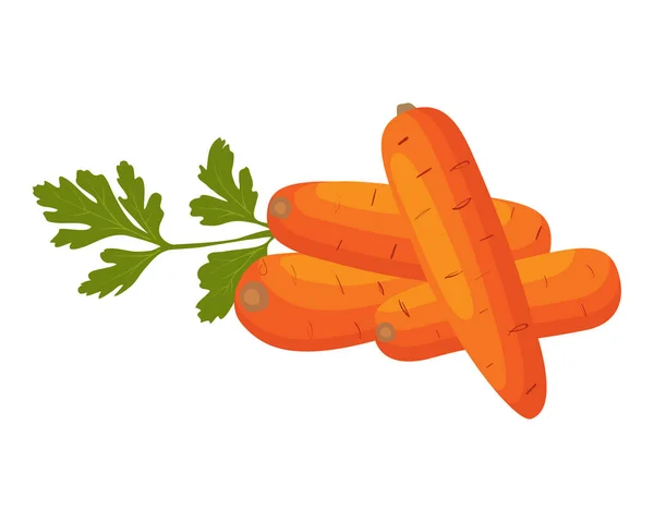 Морква Векторний Істерион Встановити Моркву — стоковий вектор