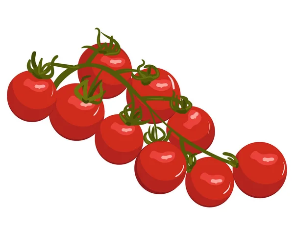 Tomates Sur Une Branche Illustration Vectorielle Graphismes Vectoriels