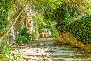 Orta Istria 'nın Motovun şehrinde yaz aylarında ağaçlar ve yapraklarla kaplanmış romantik bir kaldırım taşı sokağının resmi.