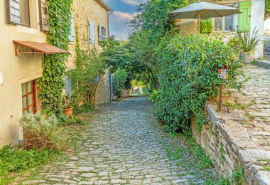 Orta Istria 'nın Motovun şehrinde yaz aylarında ağaçlar ve yapraklarla kaplanmış romantik bir kaldırım taşı sokağının resmi.