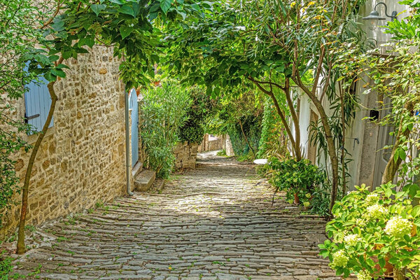 Picture of a romantic cobblestone street overgrown with trees and leaves in the medieval town of Motovun in central Istria during the day in the summertime
