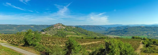 Panorama Drones Histórica Ciudad Croata Motovun Istria Durante Día Con — Foto de Stock