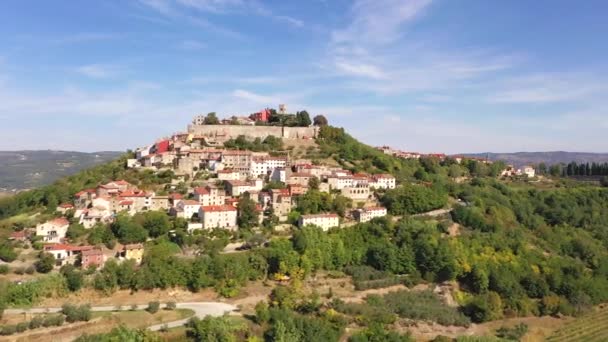Drone Video Histórica Ciudad Croata Motovun Disparo Durante Día Verano — Vídeo de stock