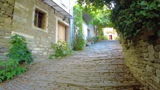 Vidéo Portable Une Promenade Dans Centre Historique Ville Croate Motovun — Video