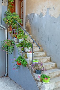 Ortaçağ şehrinde çiçek ve bitkilerle süslenmiş eski bir taş merdiven resmi.