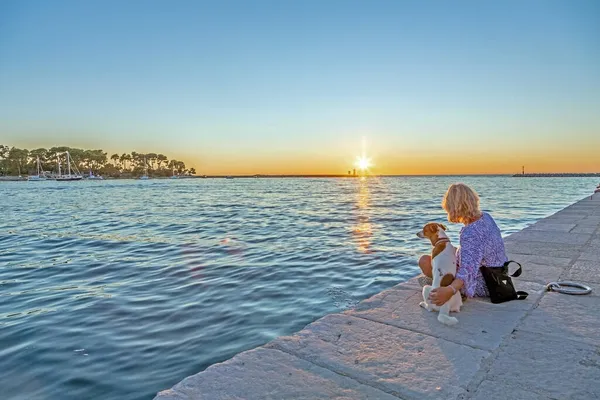 Frau mit Hund sitzt auf einem Steg und betrachtet den Sonnenuntergang im Hafen von Porec — Stockfoto