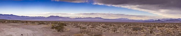 Панорамное изображение пустыни Южной Калифорнии днем — стоковое фото