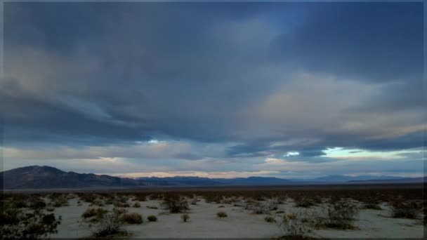 南加州玉树市国家公园沙漠地区落日余晖中的时光飞逝 — 图库视频影像