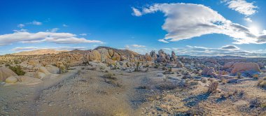 Yoshua Ağacı Ulusal Parkı 'ndaki Arch Rock bölgesinin resmi. Kışın Kaliforniya' da kaktüs ağaçlarıyla birlikte.