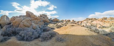 Yoshua Ağacı Ulusal Parkı 'ndaki Arch Rock bölgesinin resmi. Kışın Kaliforniya' da kaktüs ağaçlarıyla birlikte.