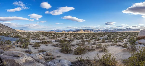 Picture Arch Rock Area Yoshua Tree National Park Cactus Trees — Stock Photo, Image