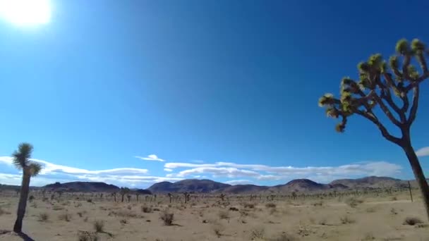 Video Viaggio Auto Attraverso Yoshua Tree National Park California Durante — Video Stock