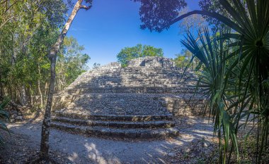Yucatan Yarımadası 'ndaki Meksika İnka şehri Coba' da gün ışığında tarihi bir piramidin resmi.