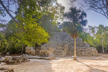 Yucatan Yarımadası 'ndaki Meksika İnka şehri Coba' da gün ışığında tarihi bir piramidin resmi.