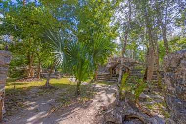 Yucatan Yarımadası 'ndaki Meksika İnka şehri Coba' da gün ışığında tarihi bir piramidin resmi.