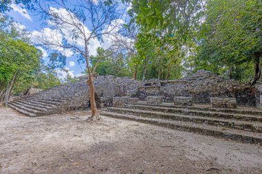 Yucatan Yarımadası 'ndaki Meksika İnka şehri Coba' da gün ışığında tarihi bir piramidin resmi.