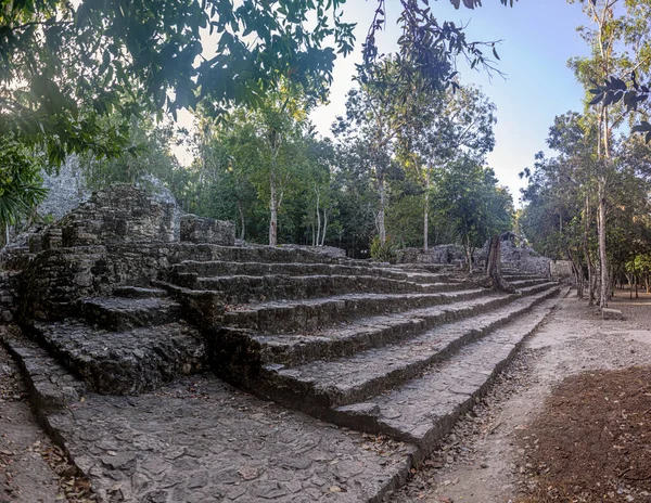 Yucatan Yarımadası 'ndaki Meksika İnka şehri Coba' da gün ışığında tarihi bir piramidin resmi.