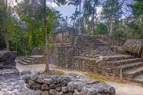 Yucatan Yarımadası 'ndaki Meksika İnka şehri Coba' da gün ışığında tarihi bir piramidin resmi.