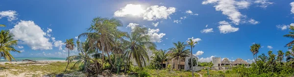 Picture Destroyed Overgrown Left Itself Hotel Complex Tropical Beach Day — Foto Stock