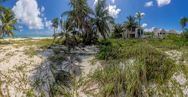 破壊され 生い茂り 太陽の光で日中は熱帯のビーチにあるホテルの複合施設に残された写真 — ストック写真