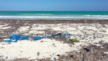 Meksika 'daki tropikal bir plajın filmi. Gündüz vakti, toprak ısıtan algler çiçek açarken plastik atıklarla dolu.