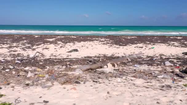 Film Tropické Pláže Mexiku Posetý Plastovým Odpadem Během Rozkvětu Řas — Stock video