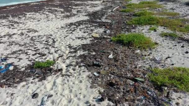 Film Über Einen Tropischen Strand Mexiko Der Während Der Erderwärmenden — Stockvideo