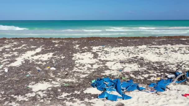 Film Una Spiaggia Tropicale Messico Ricoperta Rifiuti Plastici Durante Fioritura — Video Stock