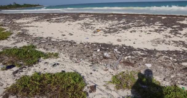 Film Über Einen Tropischen Strand Mexiko Der Während Der Erderwärmenden — Stockvideo