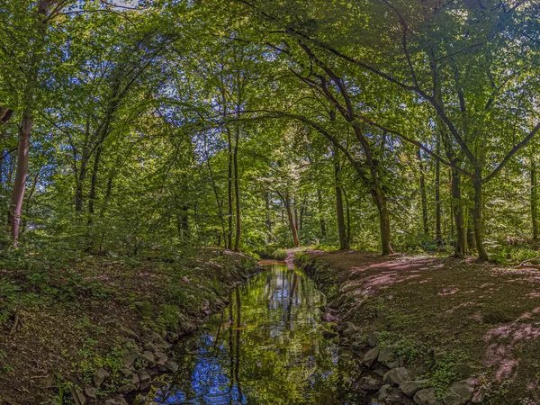 Immagine Piccolo Ruscello Che Scorre Lentamente Attraverso Una Foresta Durante — Foto Stock