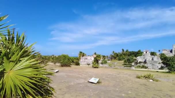 Videó Romok Történelmi Maja Város Tulum Mexikóban Nap Folyamán Nyáron — Stock videók