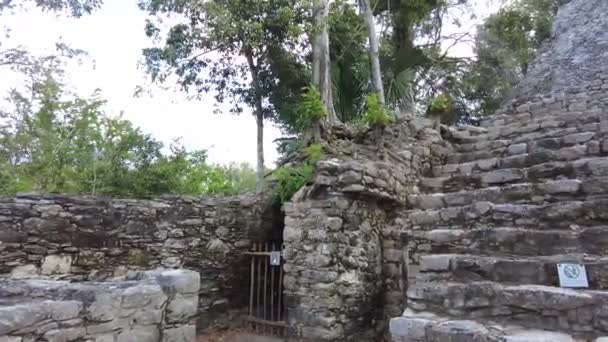 Video Van Ruïnes Van Historische Maya Stad Coba Mexico Overdag — Stockvideo