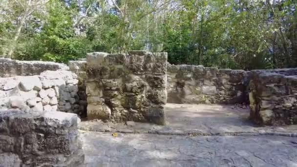 Video Van Ruïnes Van Historische Maya Stad Coba Mexico Overdag — Stockvideo