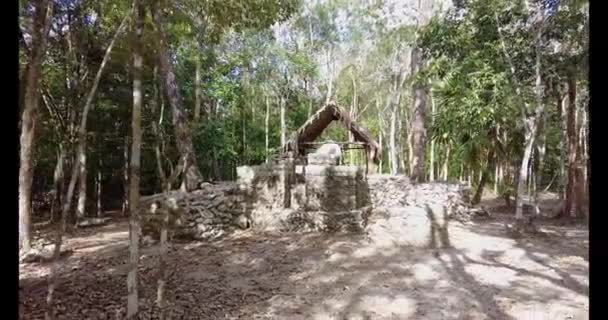 Video Van Ruïnes Van Historische Maya Stad Coba Mexico Overdag — Stockvideo