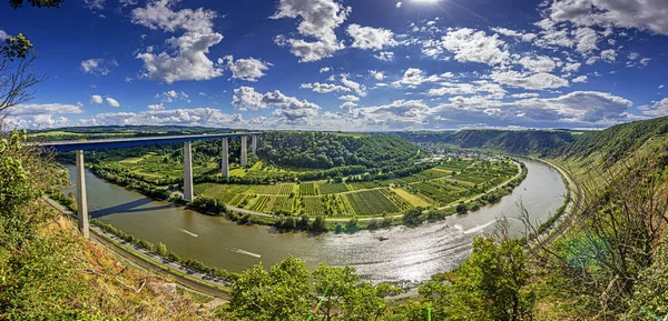 Panoramabild Über Die Mosel Mit Moseltalbrücke Und Weinbergen Bei Tagessonne — Stockfoto